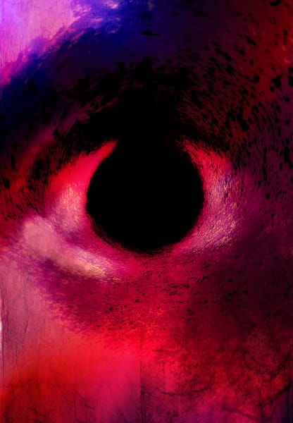 Warp Experiment Project (21)